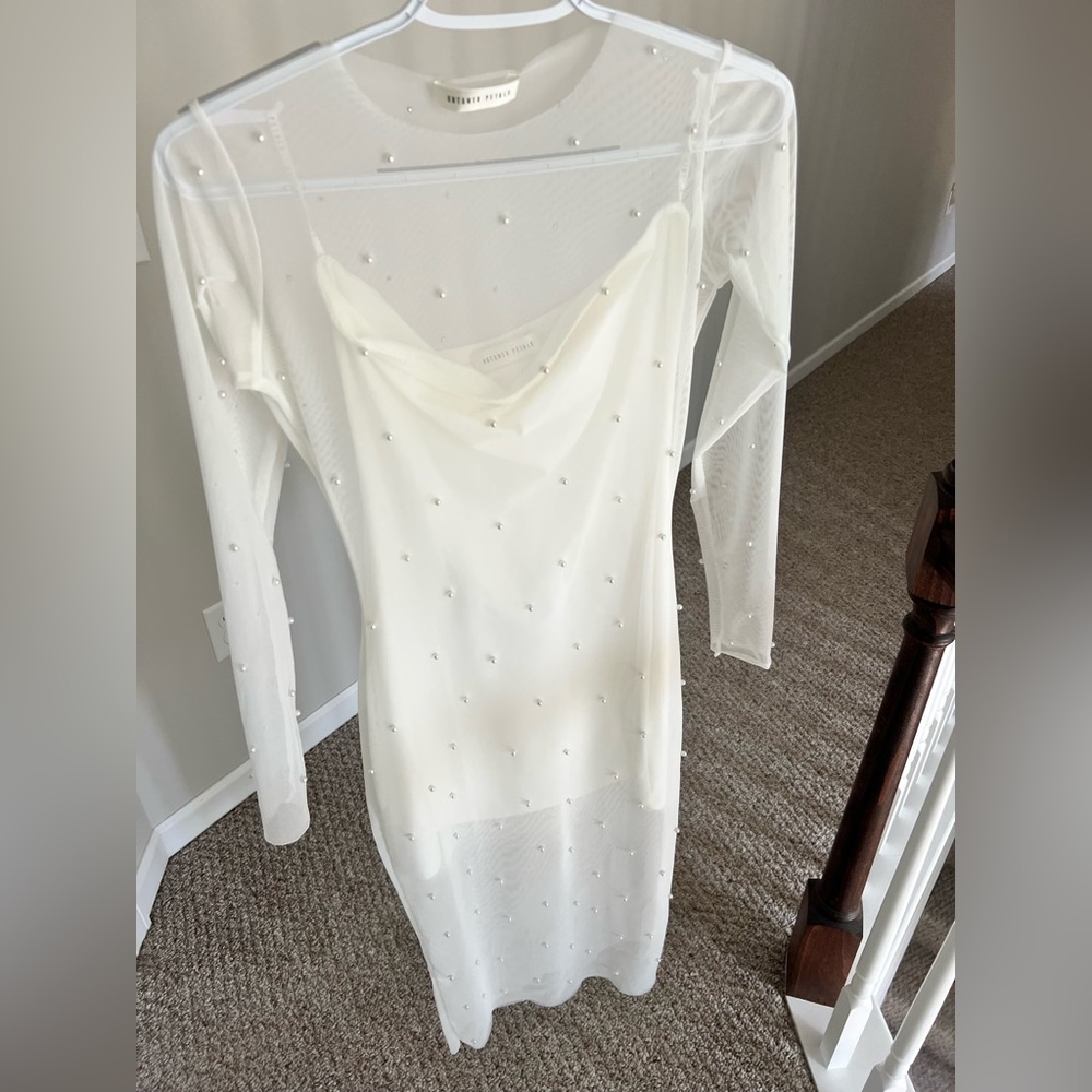 PAMPAS SHEER PEARL BODYCON DRESS by Untamed Pedals